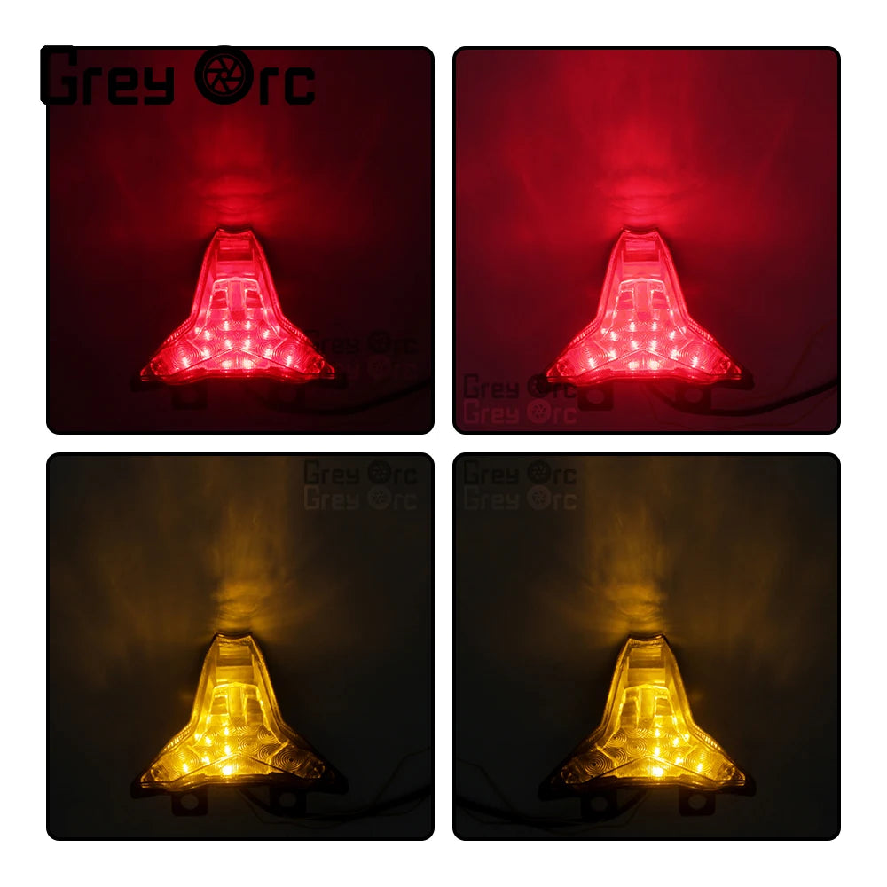 For Kawasaki NINJA ZX-10R ZX 10R 2016-2020 2017 2018 2019 Tail Light Integrated Turn Signals Brake Lamp Motorcycle Accessories