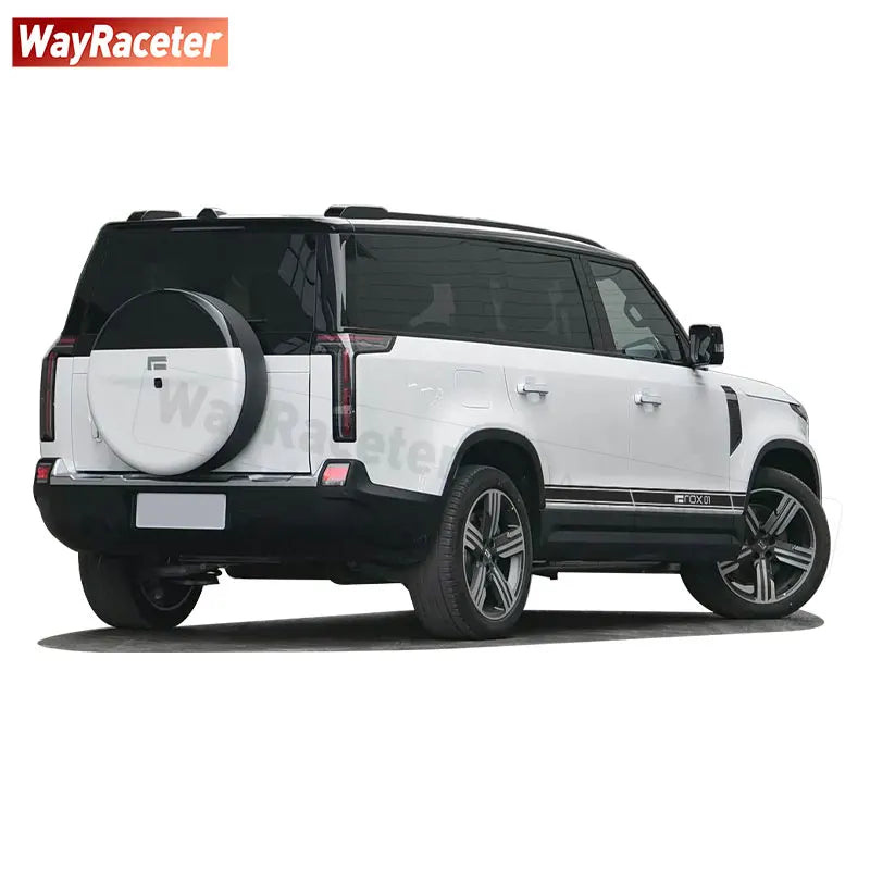 2 Pcs/Set Door Side Stripes Sticker Carbon Fiber Vinyl Decal For Polestones 01 ROX 01 2025 2026 2023 2024 Accessories