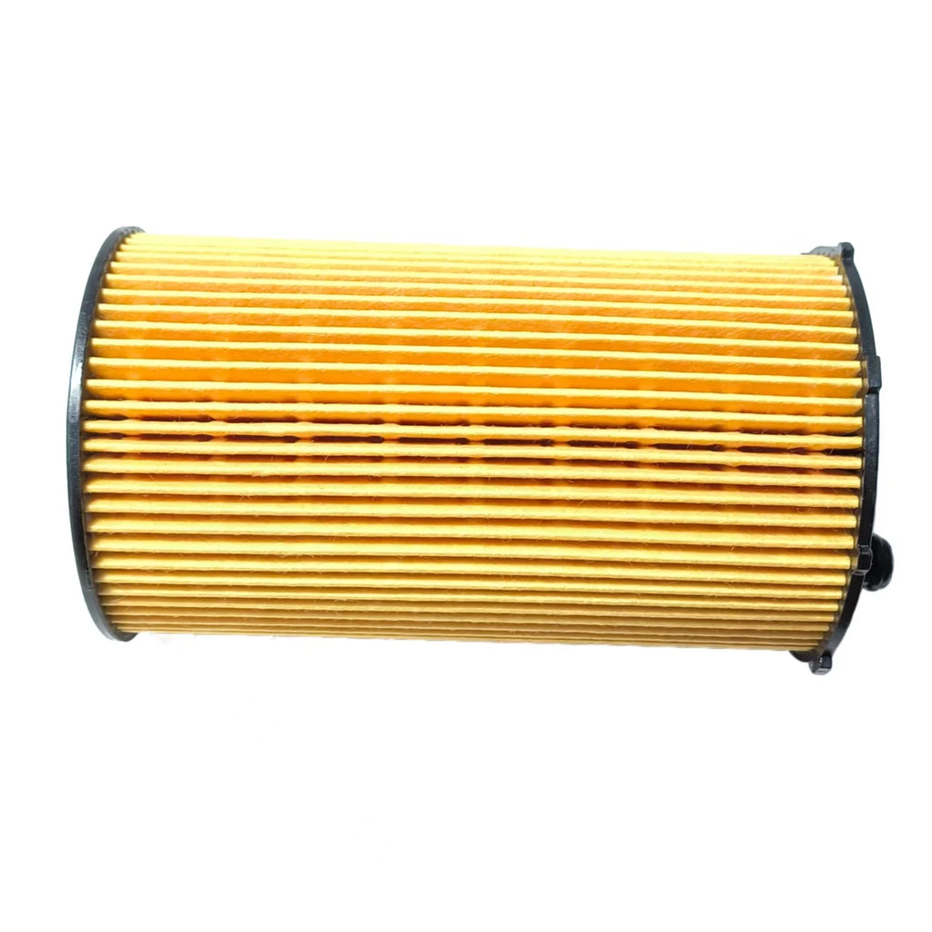 Oil Filter 1311289 For Land Rover Discovery 3(L319) 2.7TDI 2004-2010 Range Rover Sport(L320) 2.7TDI 2005-2009 Auto Spare parts