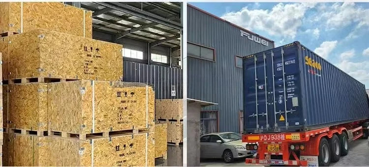 Macchina da Ricamo Professionale a 12 Aghi, Singola Testa, Grado Industriale