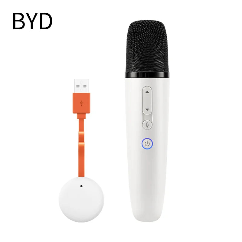BYD Official Factory Car Microphone With Receiver, Karaoke Microphone for BYD All Models, Original Sale.