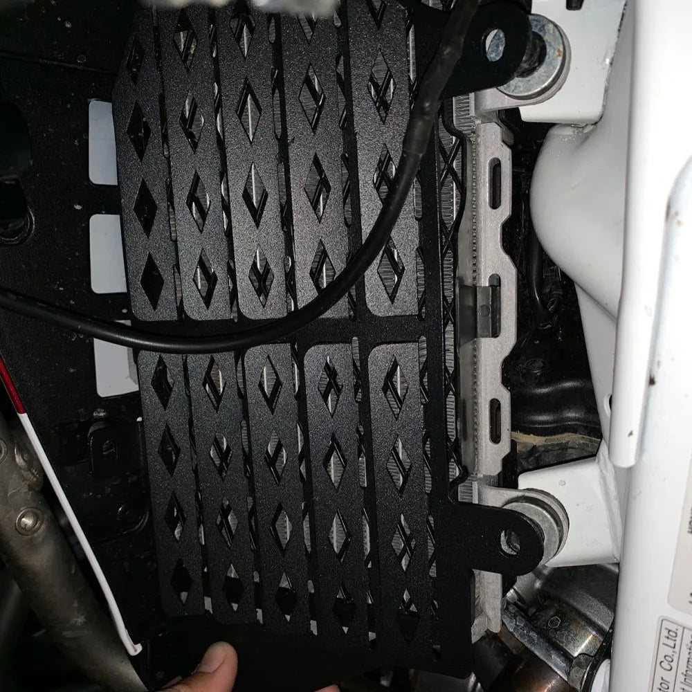 FOR CRF1000L Africa Twin CRF 1000L ADVENTURE Sports 2016-2018 2019 Radiator Grille Cover Guard Protetor Radiator Guard