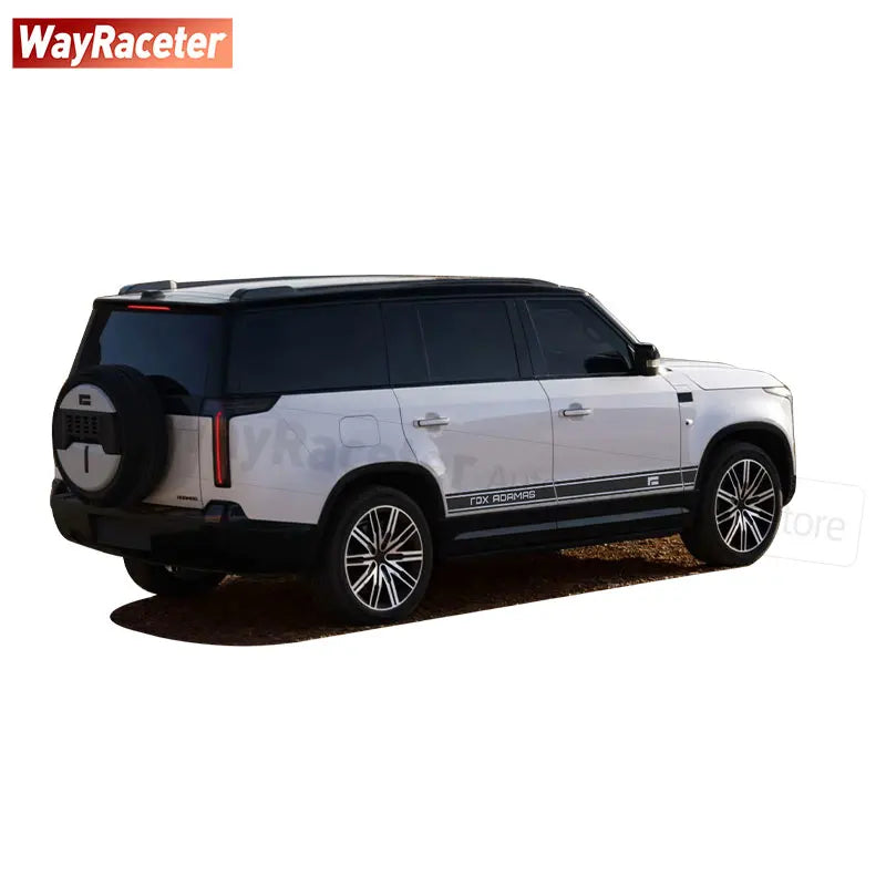 2 Pcs/Set Door Side Stripes Sticker Carbon Fiber Vinyl Decal For Polestones ROX ADAMAS 2025 2026 Accessories